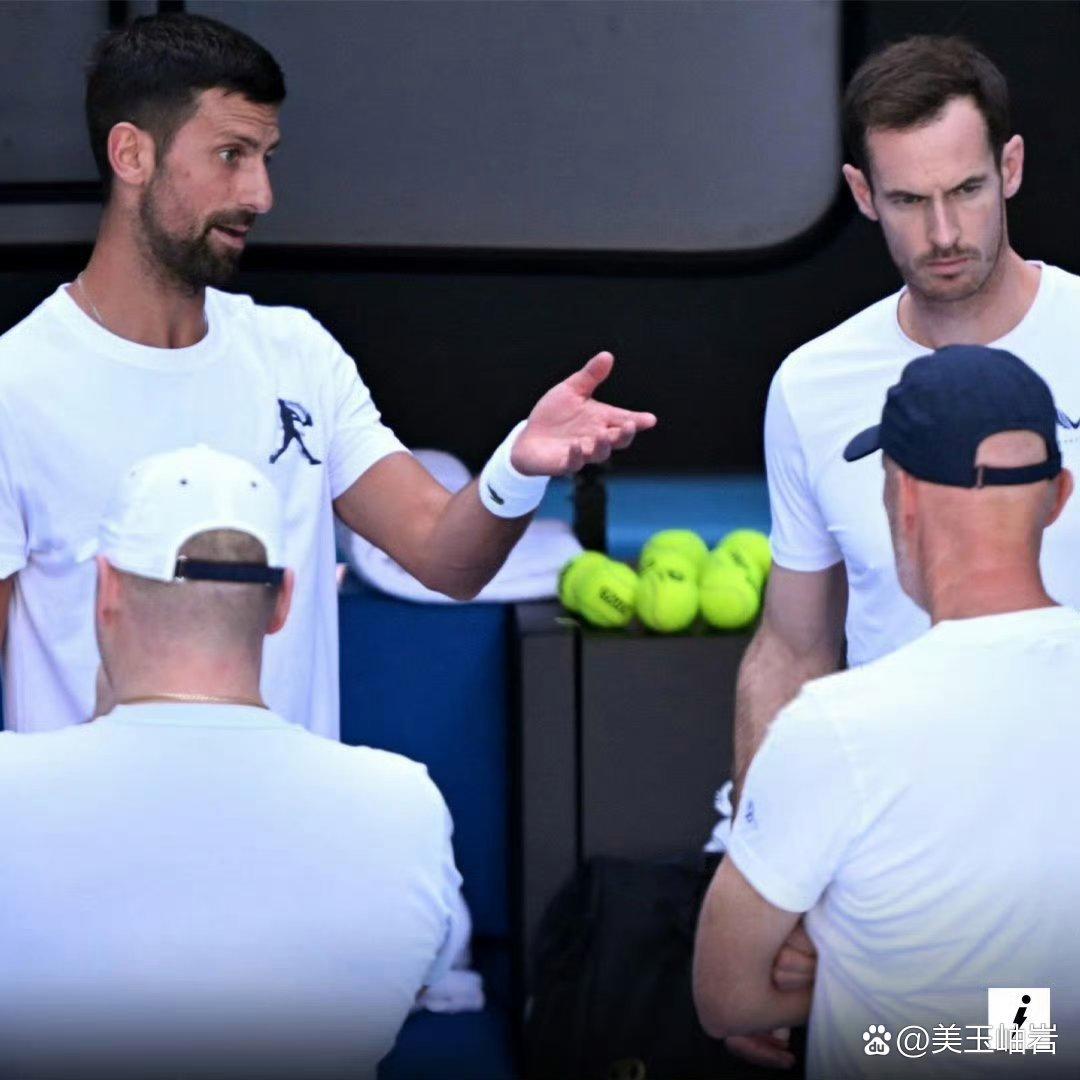 德国网球队血洗日本网球队，穆雷惊艳世界的简单介绍