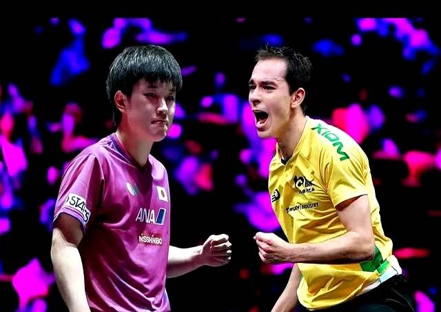 包含瑞典乒乓球队翻盘比利时乒乓球队，张本智和爆发神勇的词条