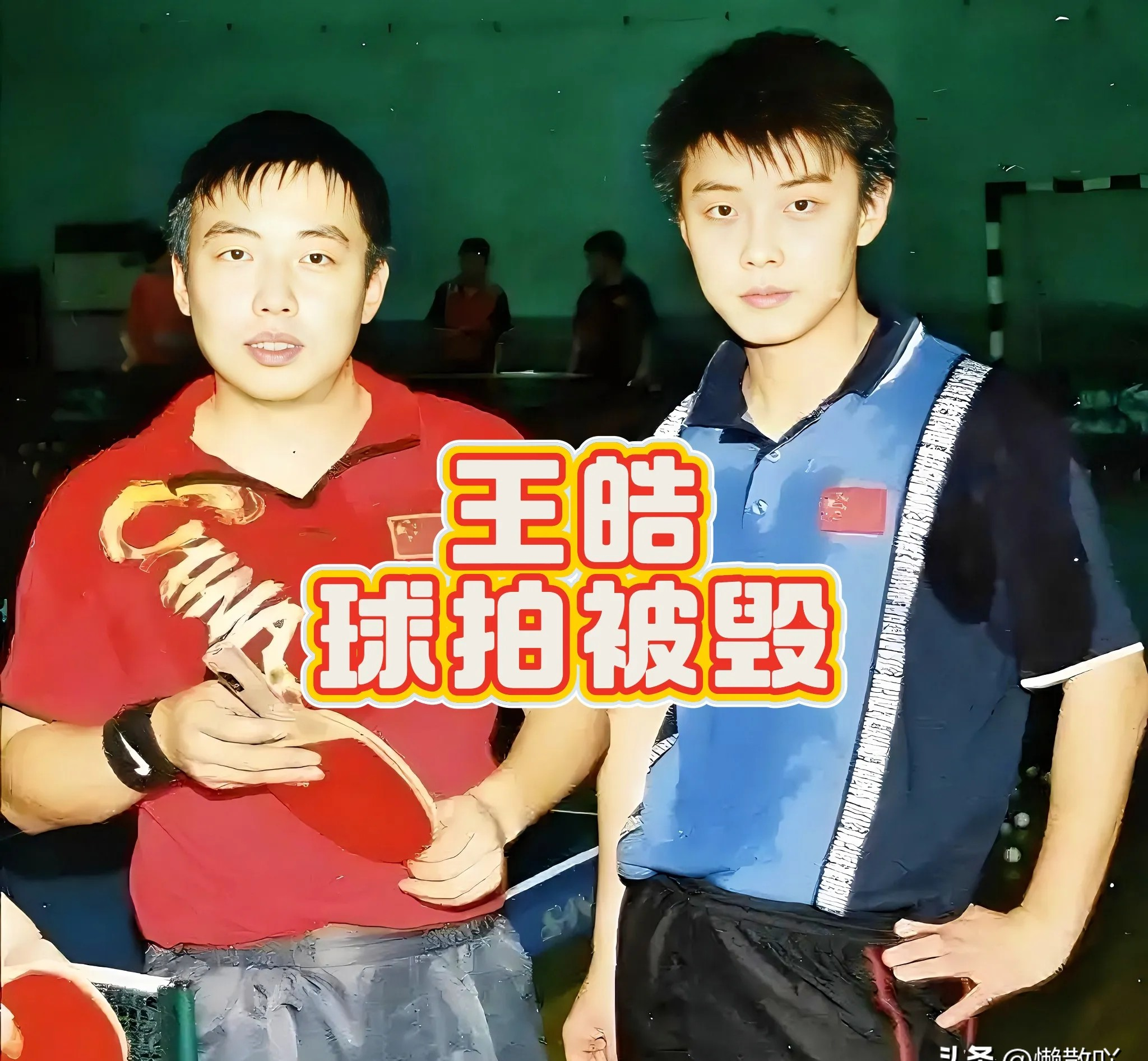 波兰队力克法国队,王皓惊艳四座 波兰队力克法国队,王皓惊艳四座