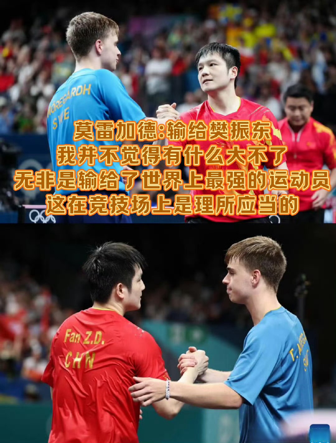 波兰队碾压葡萄牙队,樊振东惊艳四座 波兰队碾压葡萄牙队,樊振东惊艳四座