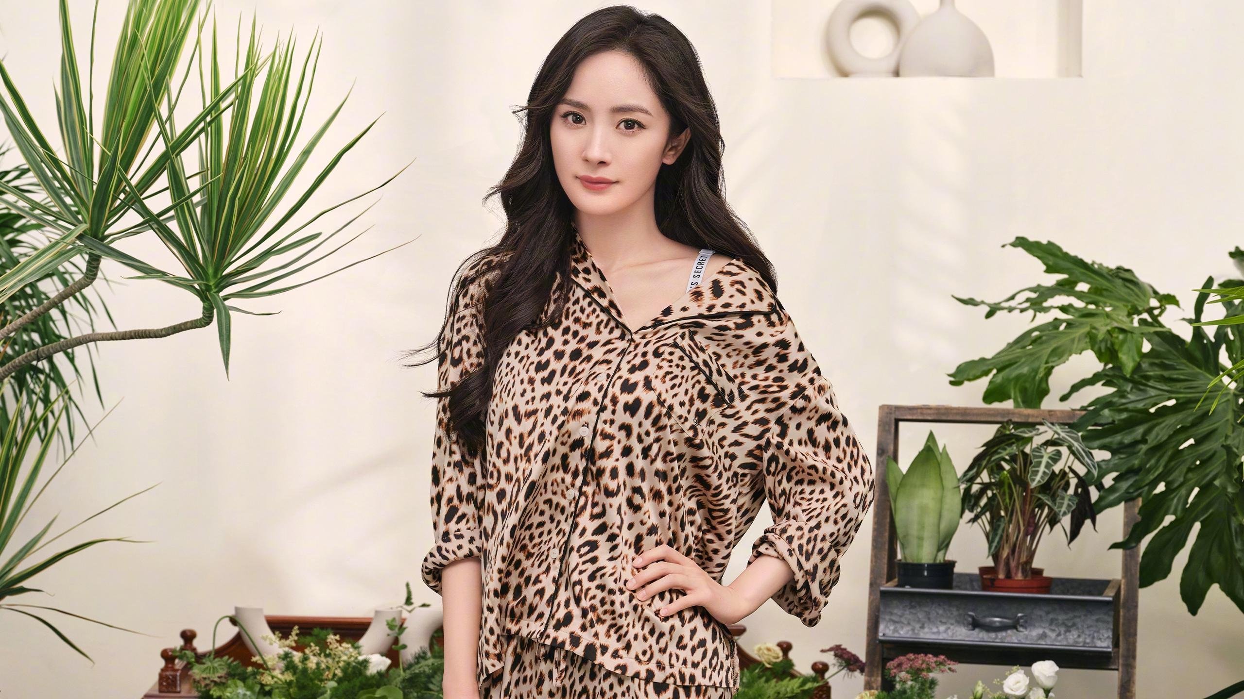 哈弗茨入籍记,一场架空胜利如何重塑东亚足球权力天平