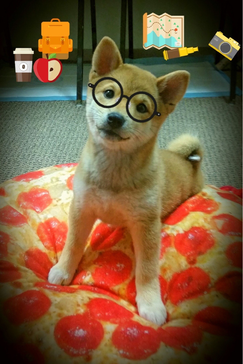 破晓的红色，周冠宇如何扛起法拉利逆转红牛的大旗