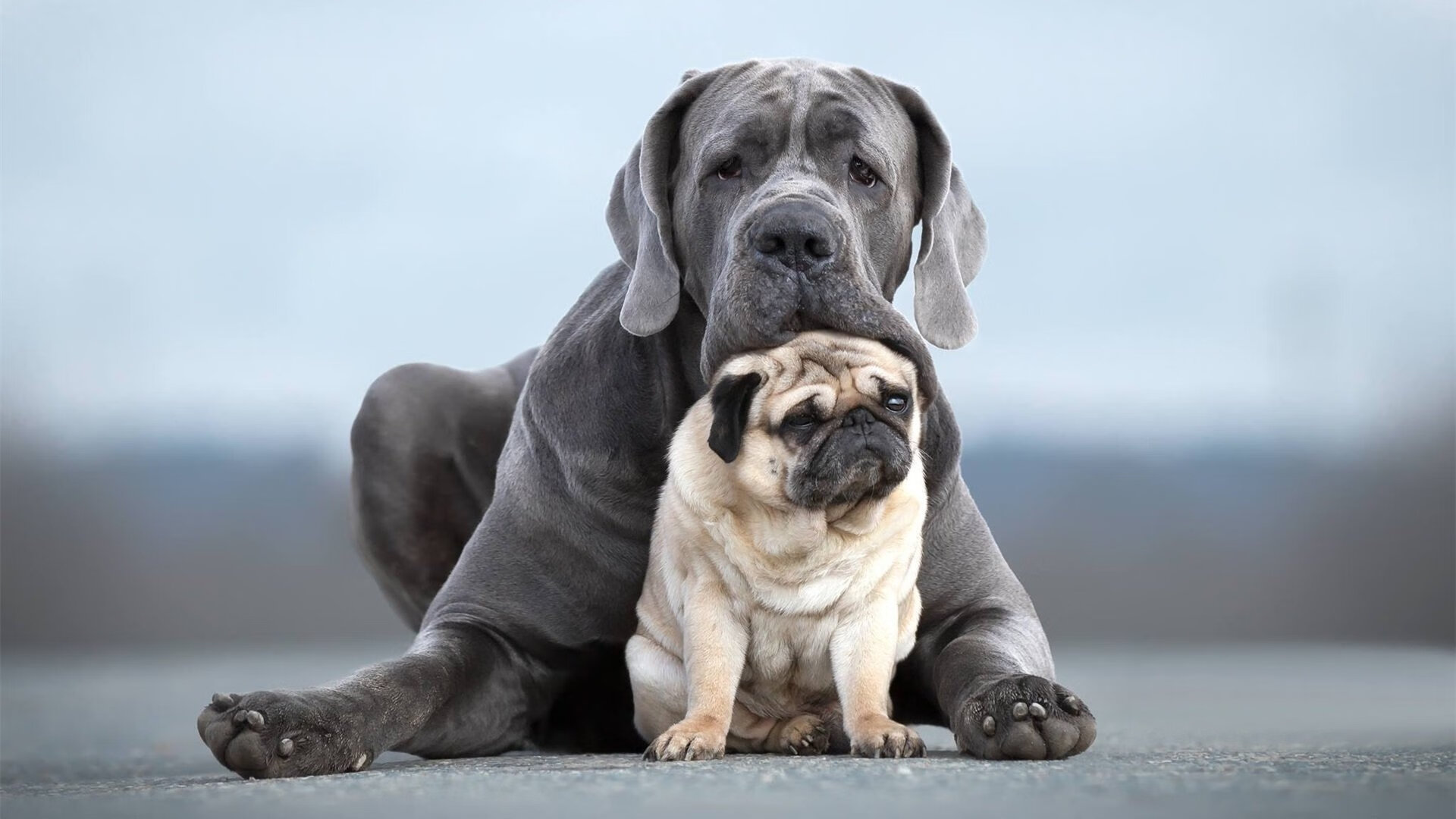 白衣渡海，那一夜，C罗的剑与伯纳乌的风暴