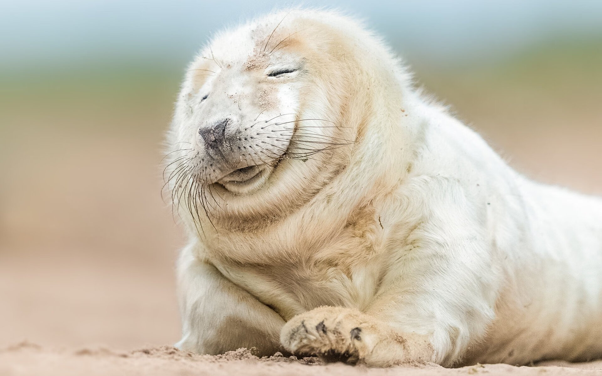 当佛罗伦萨征服奥地利，久保建英在决赛夜的东方魔法