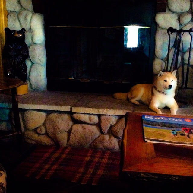 计划与偶然,足球世界里的冰与火之歌