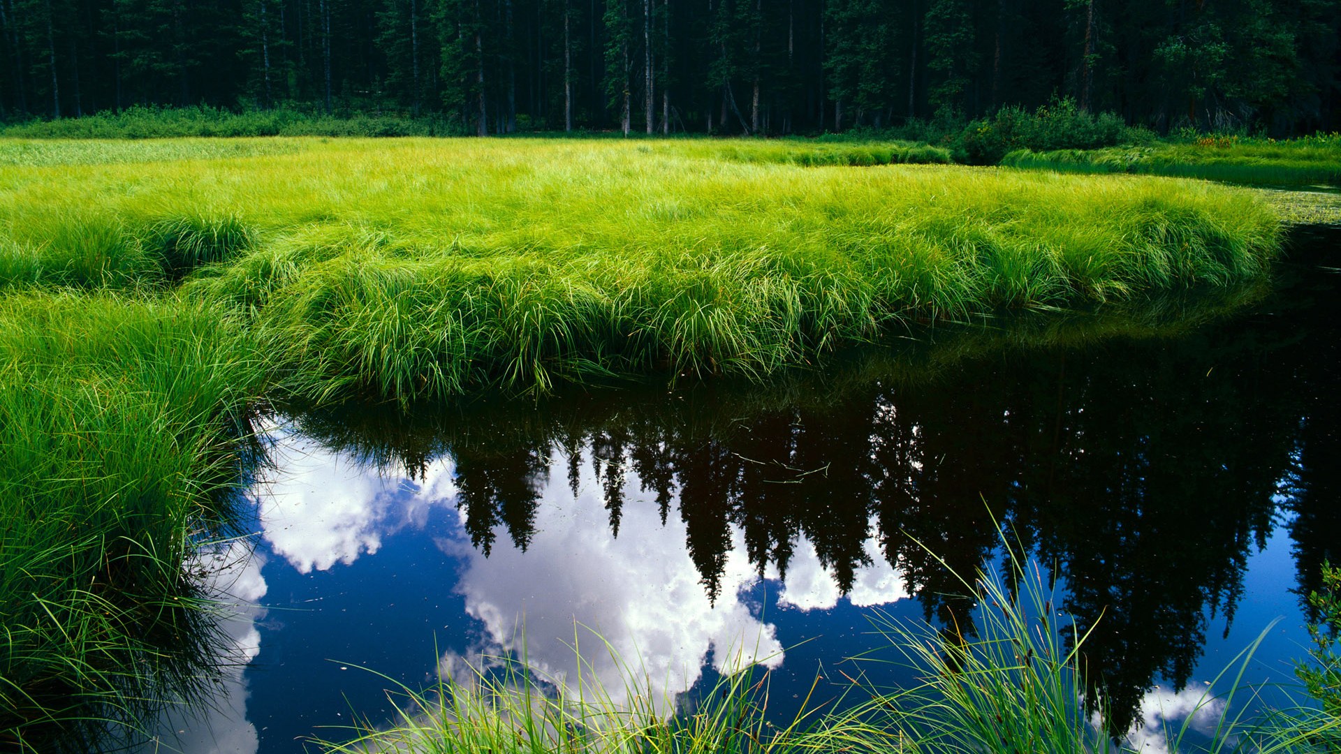 代码如同手术刀，加纳科技军团如何德布劳内式洞穿瑞典数字防线