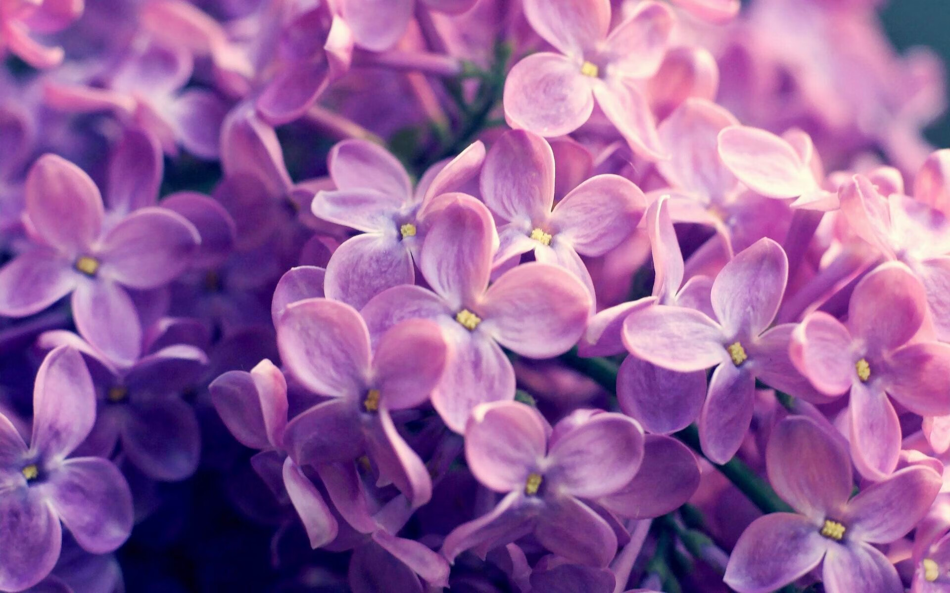 篮球全球秀,湖人惊天翻盘吉林,欧文西甲德比独揽胜局