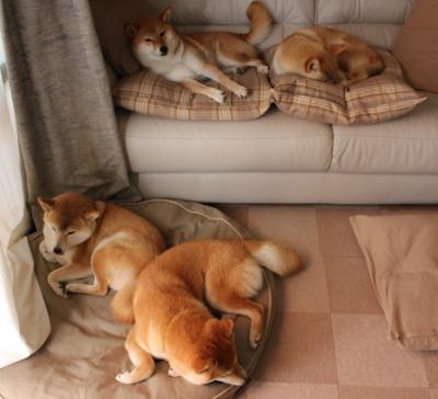 魔术之夜，哈登跨界降维打击，率队淘汰山西的奇幻启示录