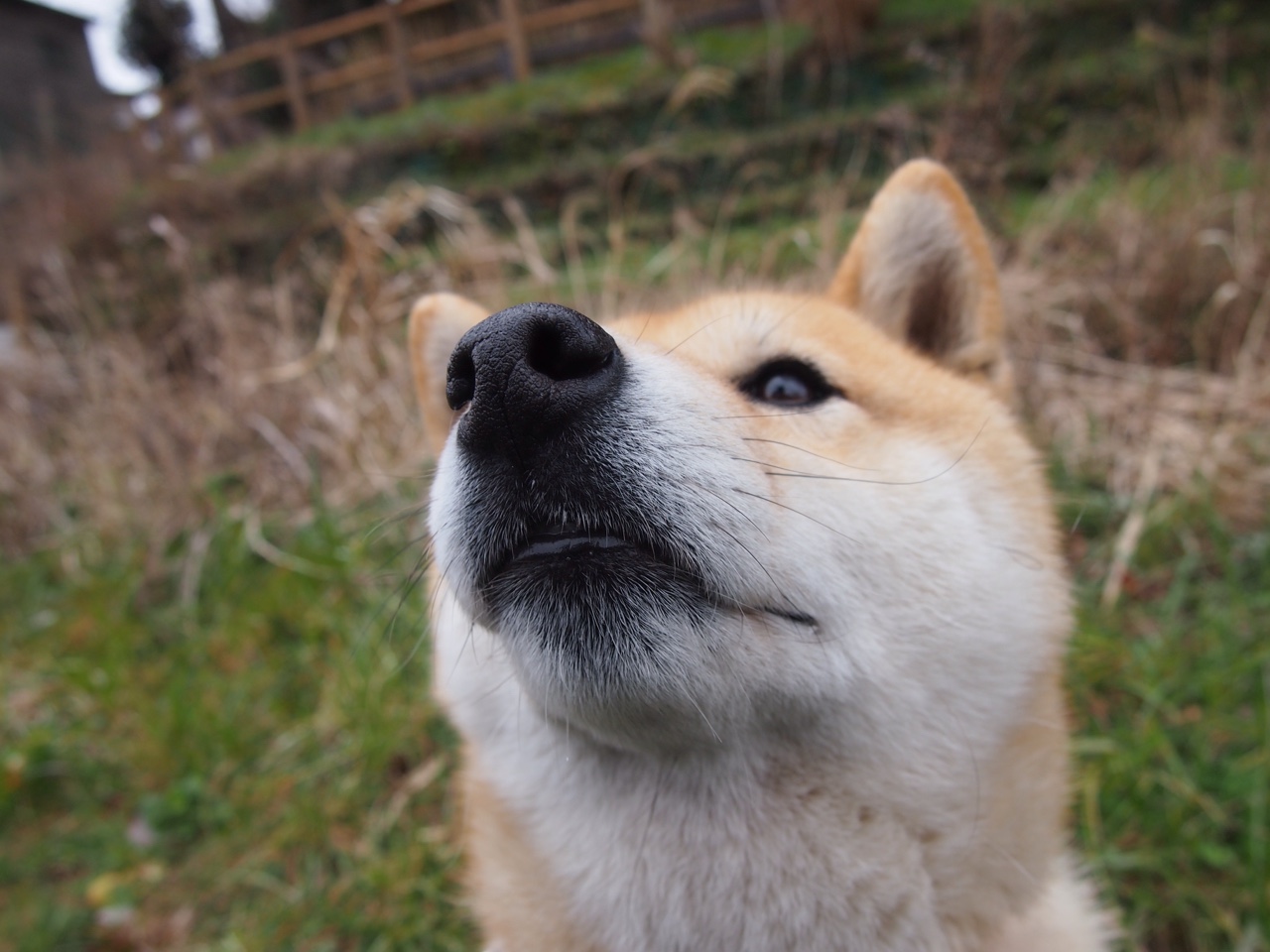 闪耀的绝杀英雄，卡瓦哈尔加时一剑封喉，助马赛险胜希腊劲旅