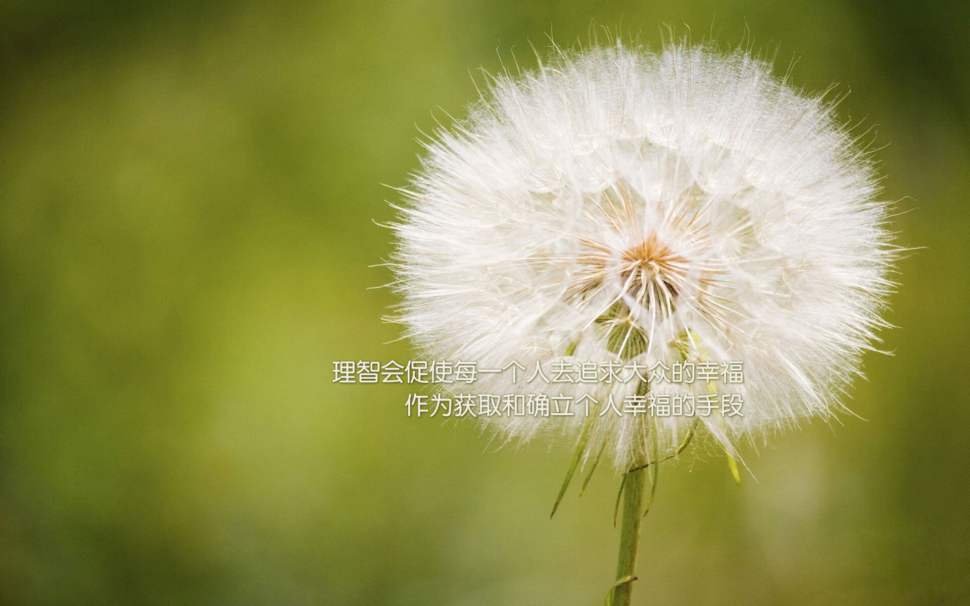 致命封盖！小贾伦封神之夜，上海鏖战加时险胜开拓者