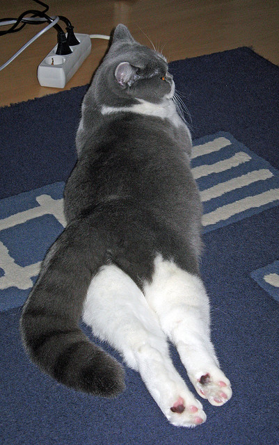 当桑巴舞步对上金属风暴，足球魅力的两个极致维度