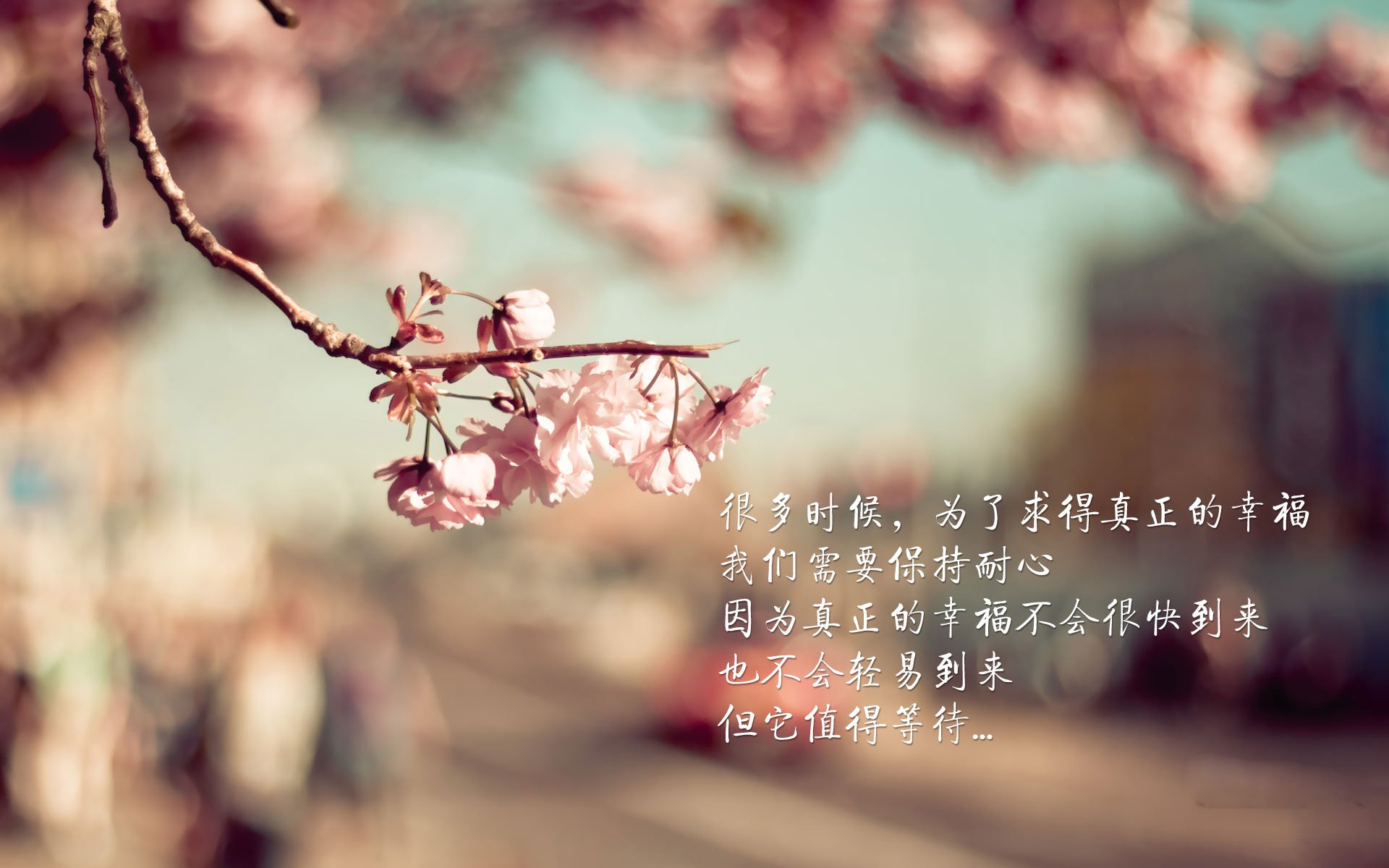 从失落到主宰,小贾伦降维打击,步行者团队篮球上演战术碾压