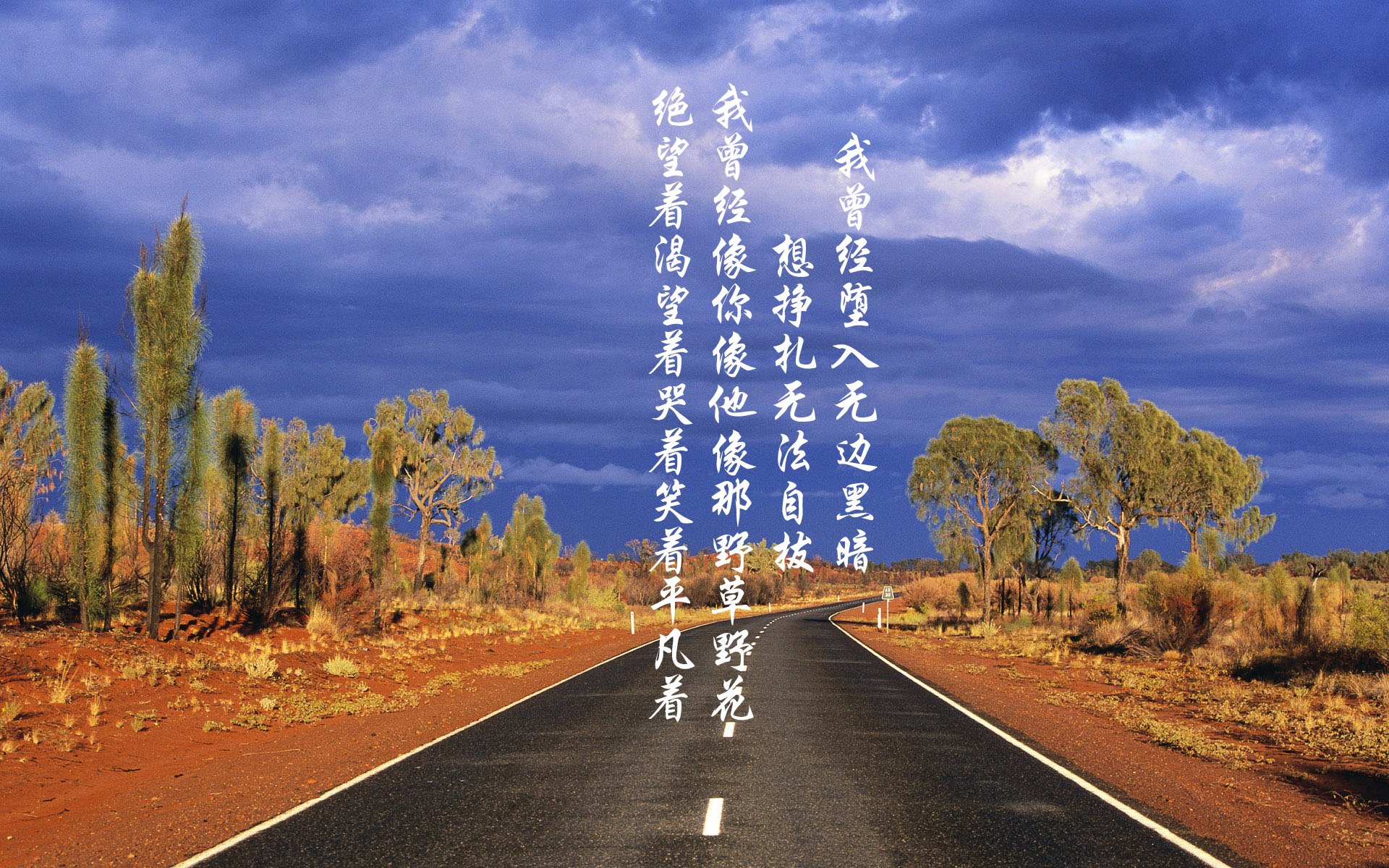 魔幻布达佩斯之夜,阿诺德铁幕战术撕裂非洲雄狮,匈牙利书写2026世界杯最冷血复仇